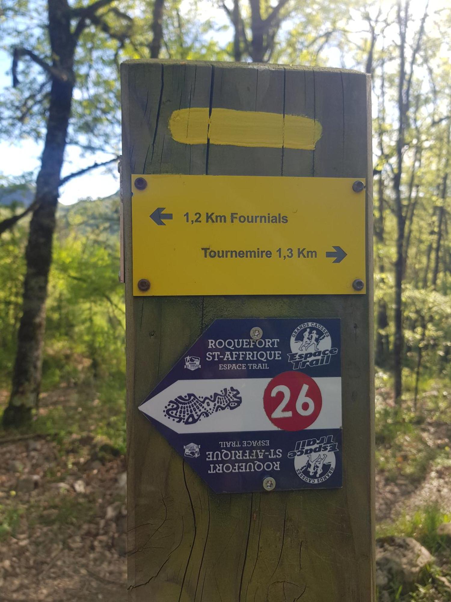 Gite Aux Tourterelles Tournemire  Zewnętrze zdjęcie